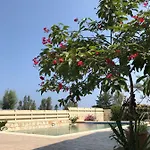 Savvas * Argaka
